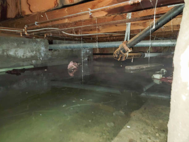 Best Basement water damage restoration  in Waynesburg, PA