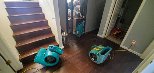 Best Flood damage cleanup  in Waynesburg, PA