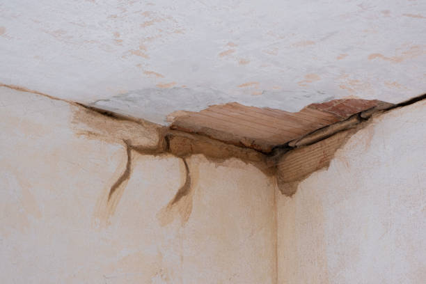 Best Ceiling water damage repair  in Waynesburg, PA
