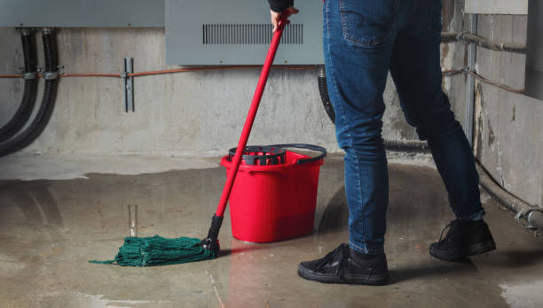 Best Mold removal after water damage  in Waynesburg, PA