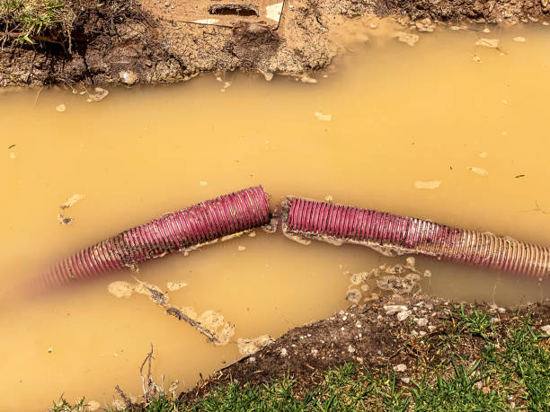 Best 24/7 water damage repair  in Waynesburg, PA